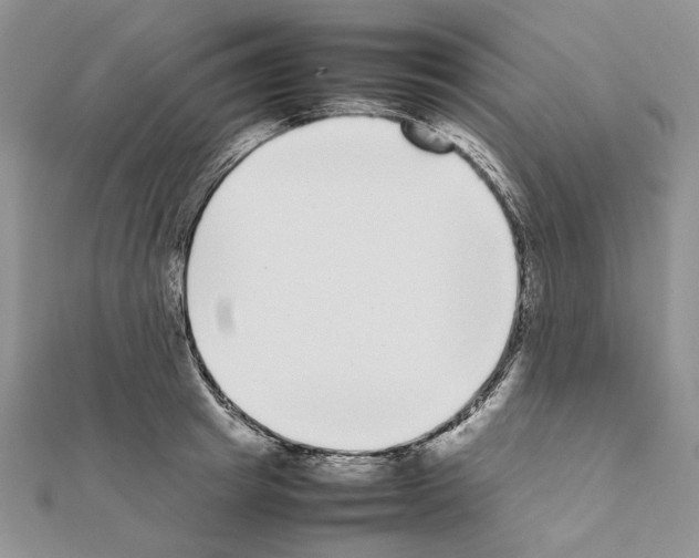 X0000111630849200908281133