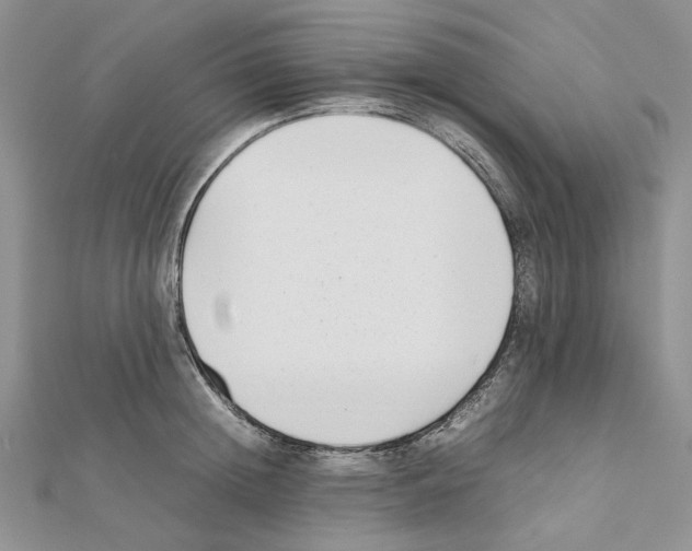 X0000111630852200908281133
