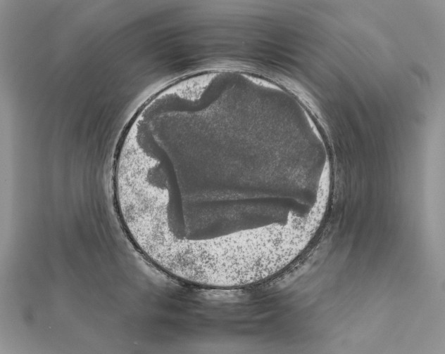 X0000111630853200908281133