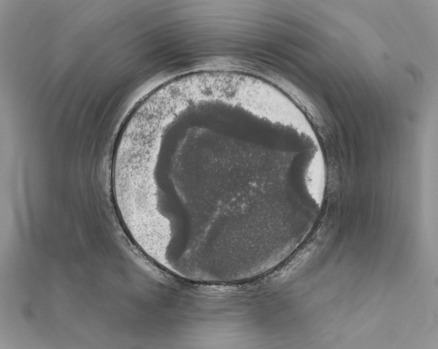 X0000111630854200908281133