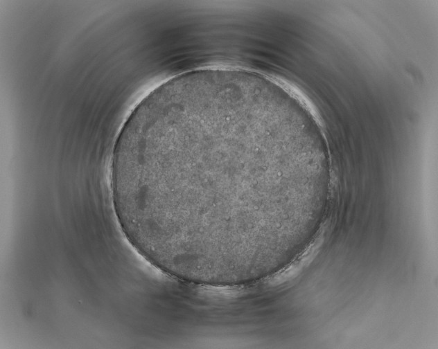 X0000111630855200908281133