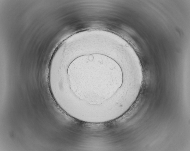 X0000111630856200908281133