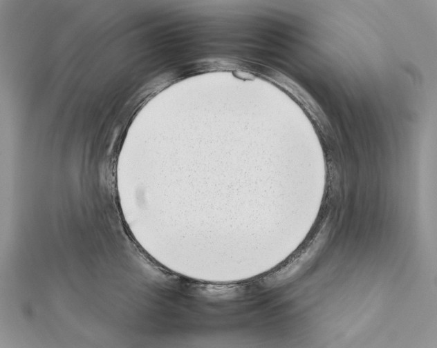 X0000111630857200908281133