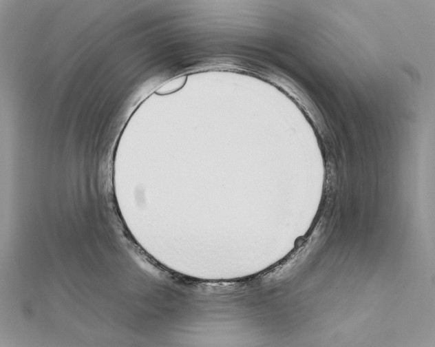 X0000111630858200908281133