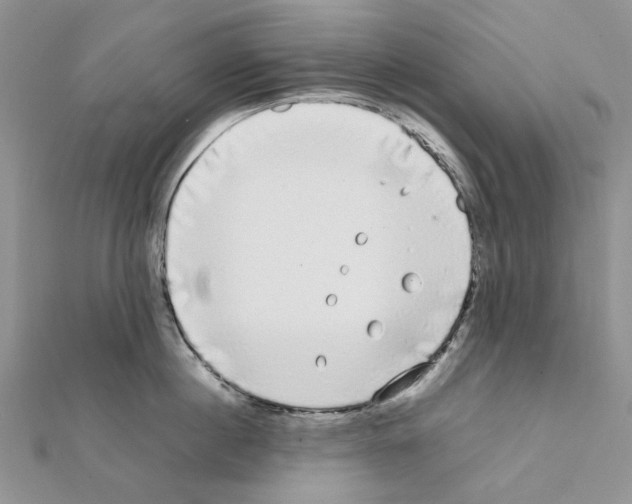 X0000111630860200908281133