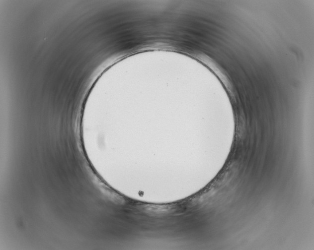 X0000111630861200908281133