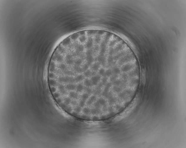 X0000111630862200908281133