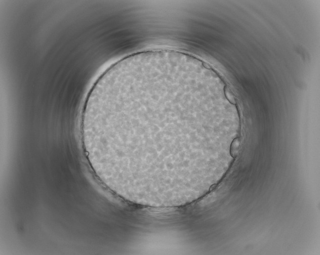 X0000111630864200908281133