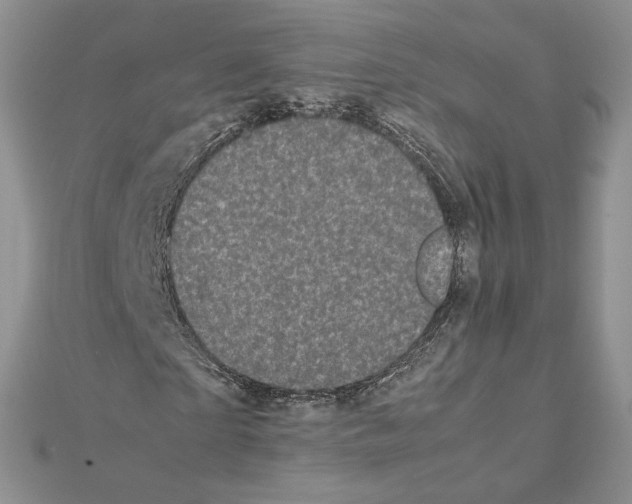 X0000111630865200908281132