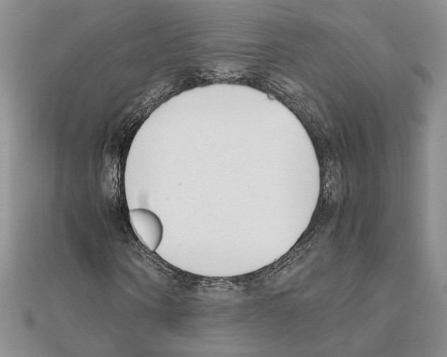 X0000111630866200908281132