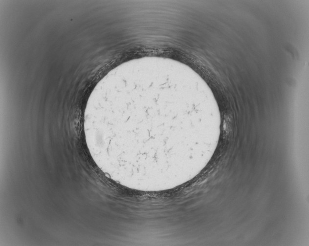 X0000111630867200908281132