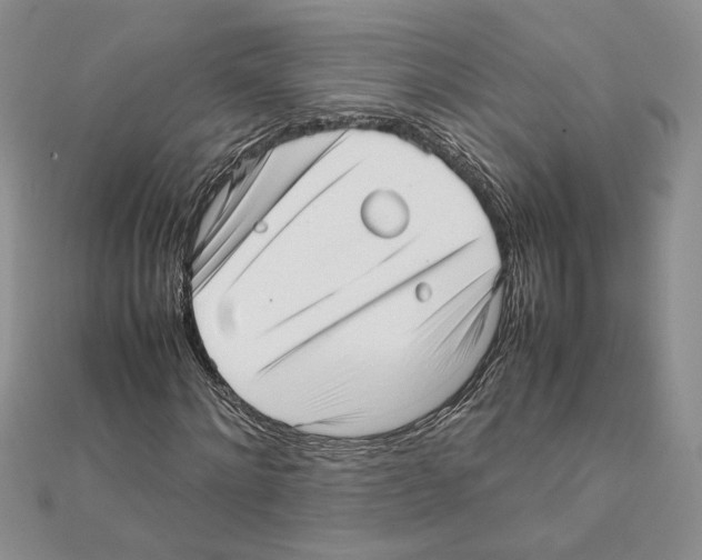 X0000111630868200908281132