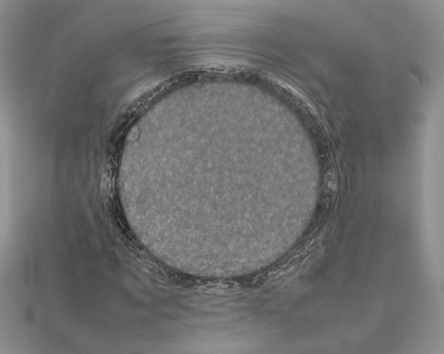 X0000111630869200908281132