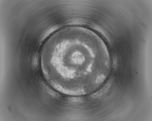 X0000111630874200908281132