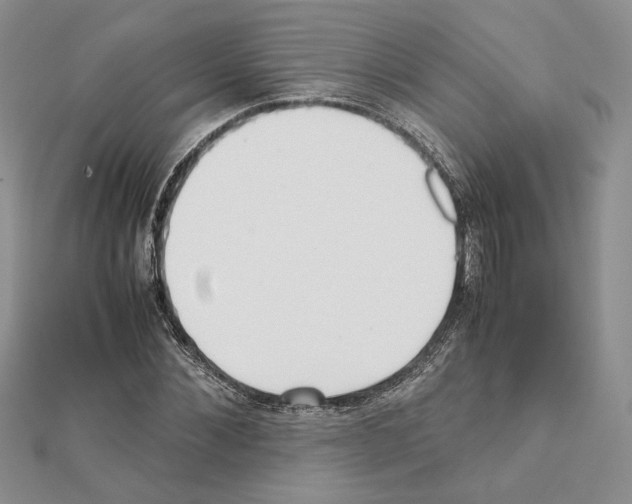 X0000111630876200908281132