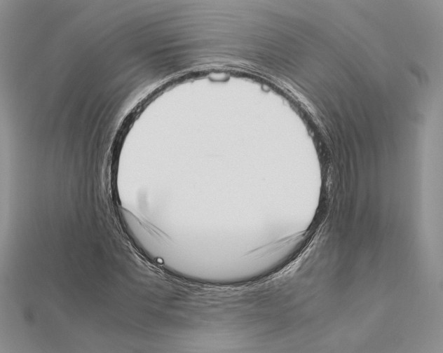 X0000111630877200908281132