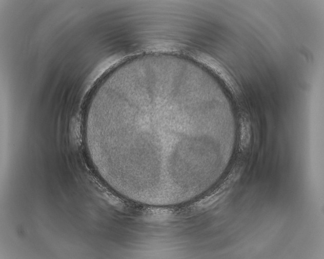X0000111630878200908281132