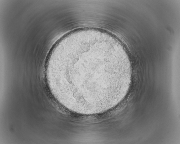 X0000111630879200908281132