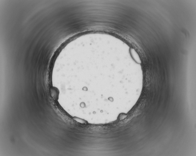 X0000111630880200908281132