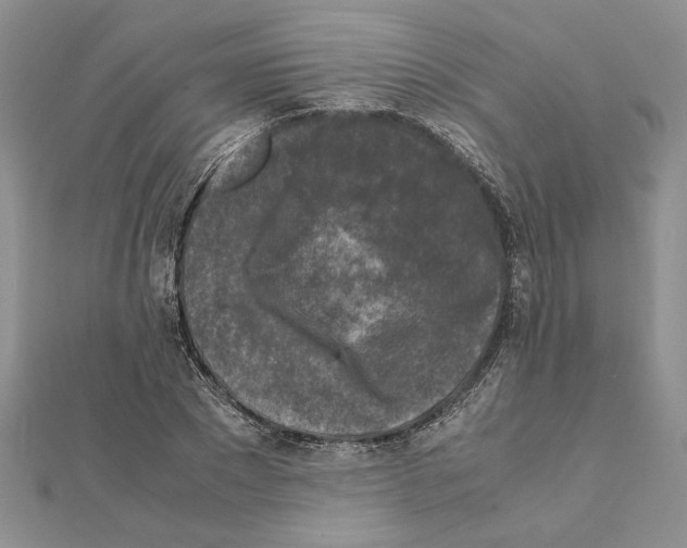 X0000111630881200908281132