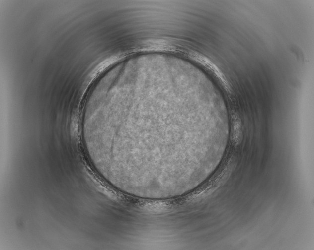 X0000111630882200908281132