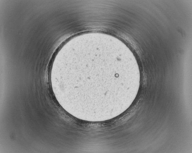 X0000111630883200908281132