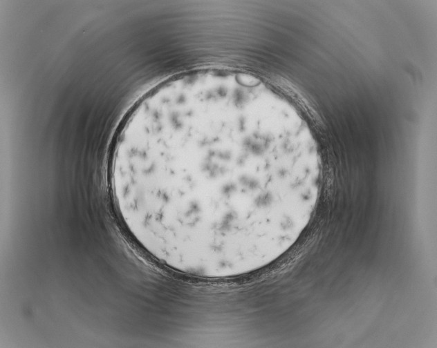 X0000111630884200908281132