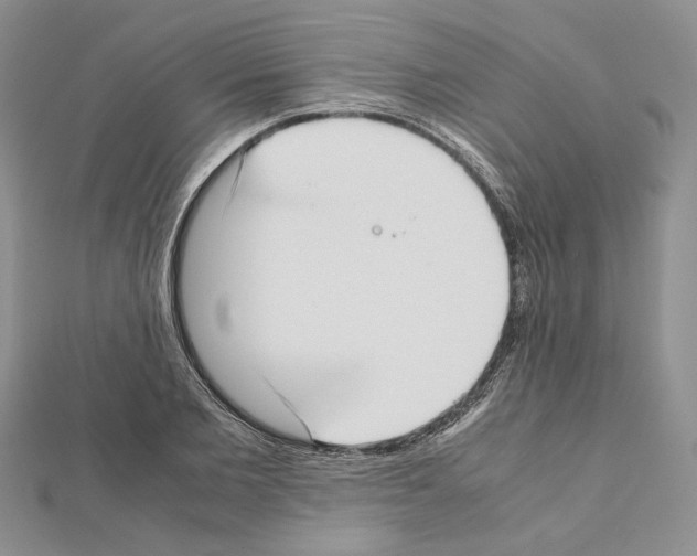 X0000111630885200908281132