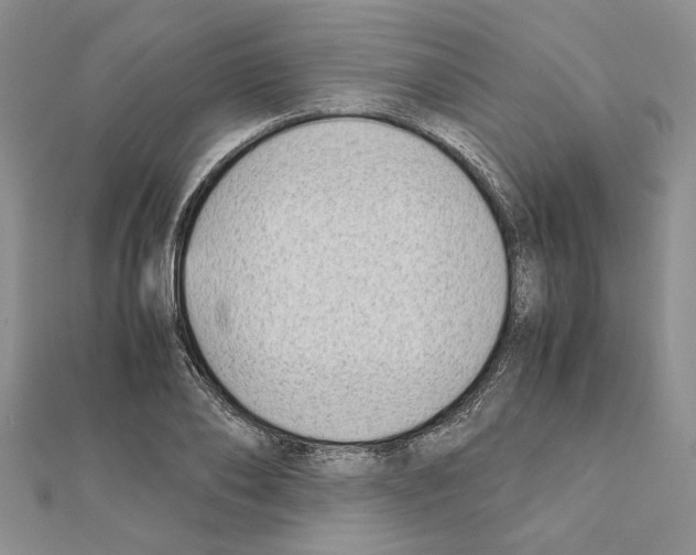 X0000111630886200908281132