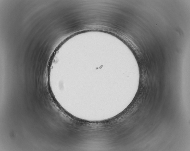 X0000111630888200908281132