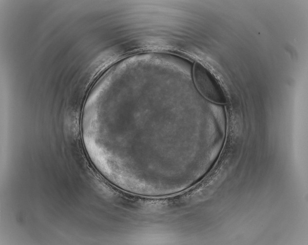 X0000111630889200908281132