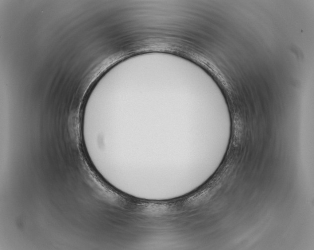 X0000111630890200908281132