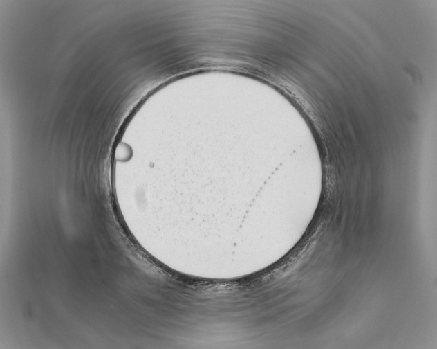 X0000111630891200908281132