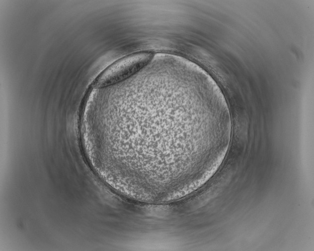 X0000111630893200908281132