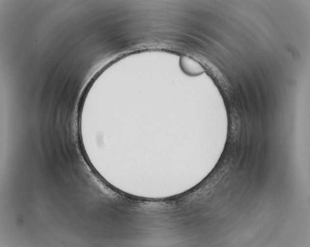X0000111630894200908281132