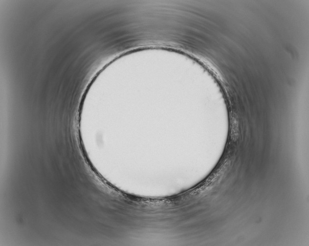 X0000111630895200908281132