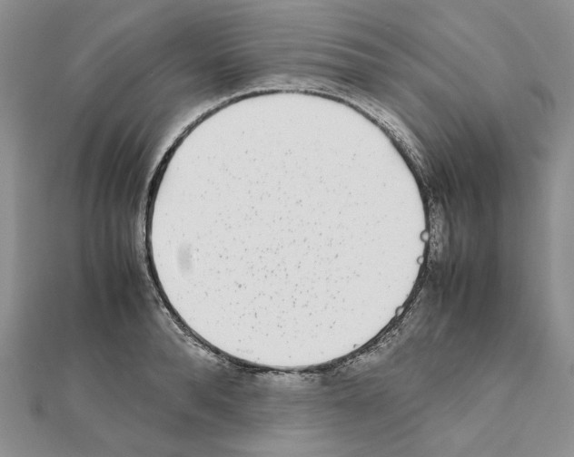 X0000111630896200908281132