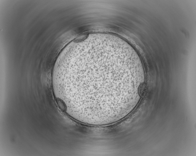 X0000111630897200908281132
