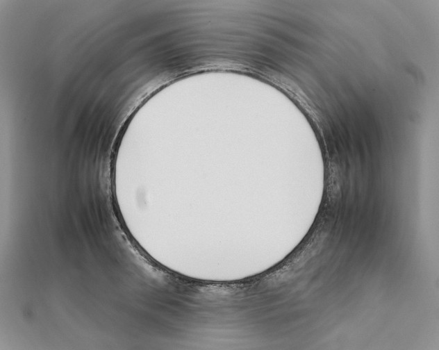X0000111630898200908281132