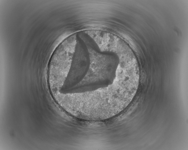 X0000111630899200908281132