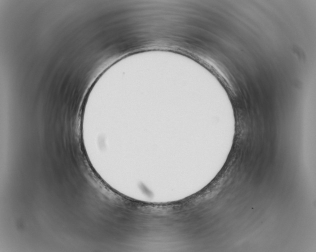 X0000111630900200908281132