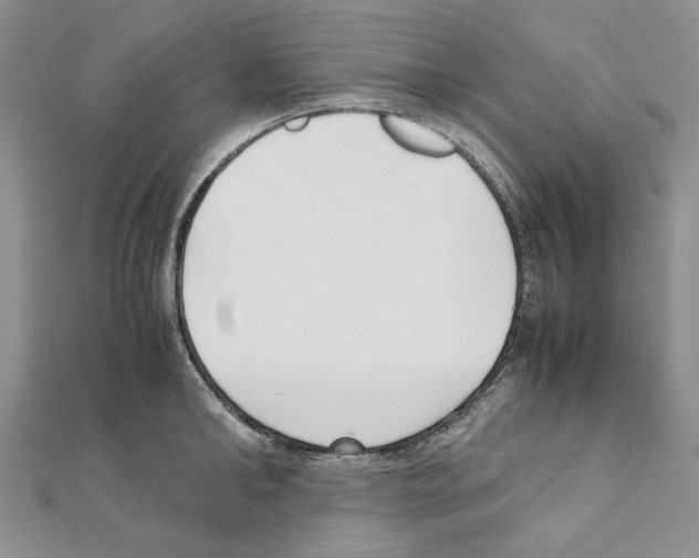 X0000111630902200908281132