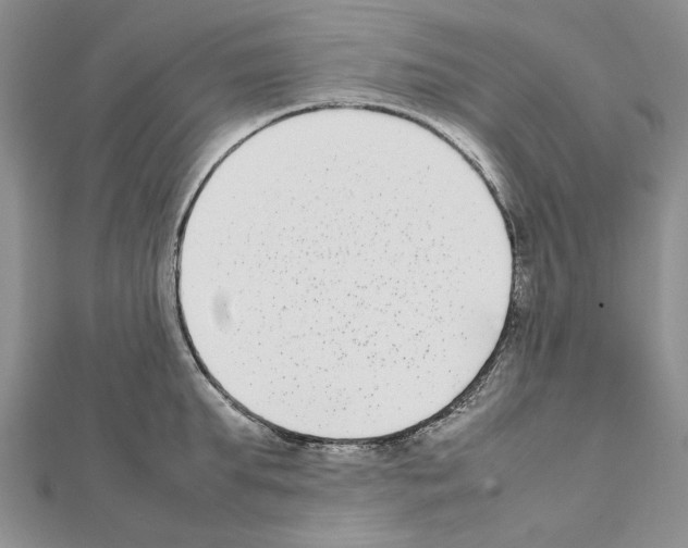 X0000111630903200908281132