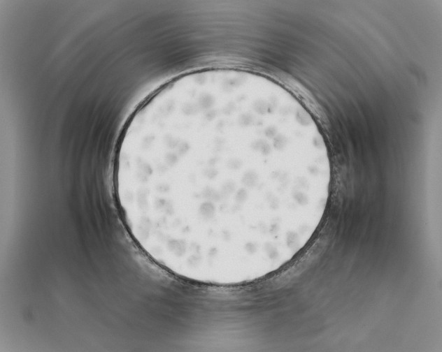 X0000111630904200908281132