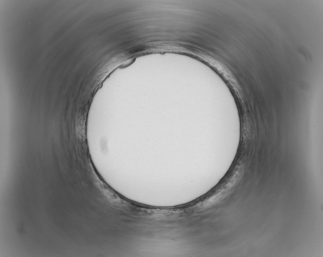 X0000111630905200908281132