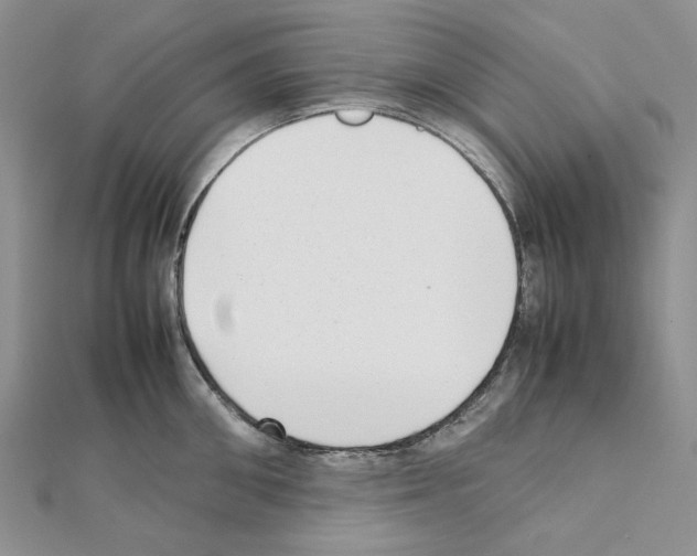 X0000111630906200908281132