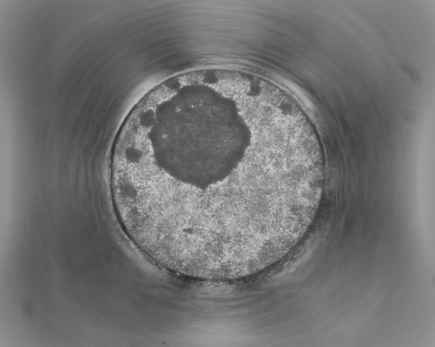 X0000111630907200908281132