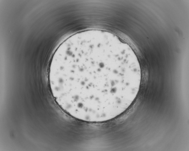 X0000111630908200908281132