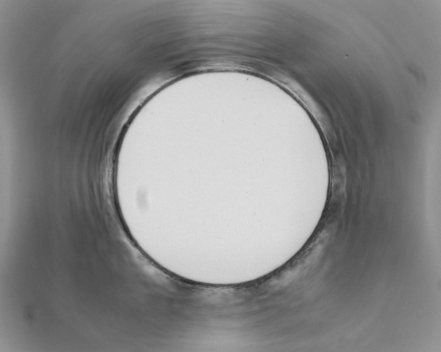 X0000111630909200908281132