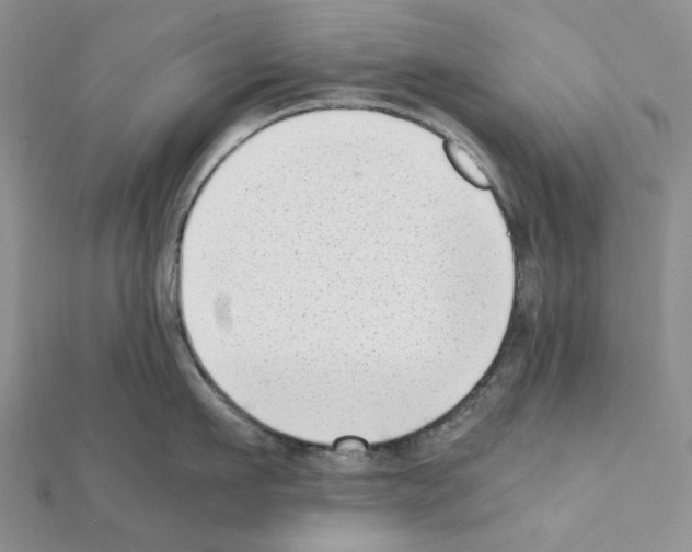 X0000111630911200908281132